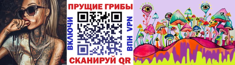 МЕГА онион  Костомукша  Галлюциногенные грибы MAGIC MUSHROOMS 